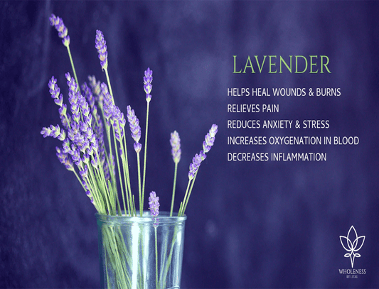 The King of Oils: 5 Benefits of Lavender Essential Oil