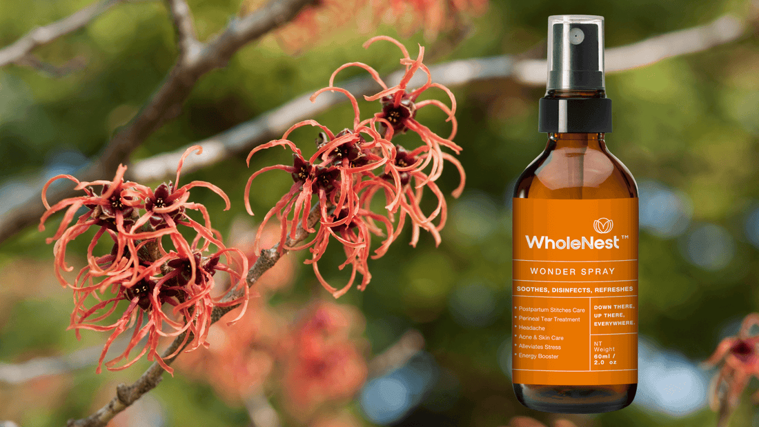 Witch Hazel: Nature's Magic Potion