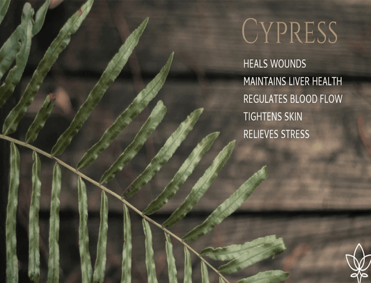 Benefits of Cypress